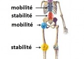 mobilité stabilité